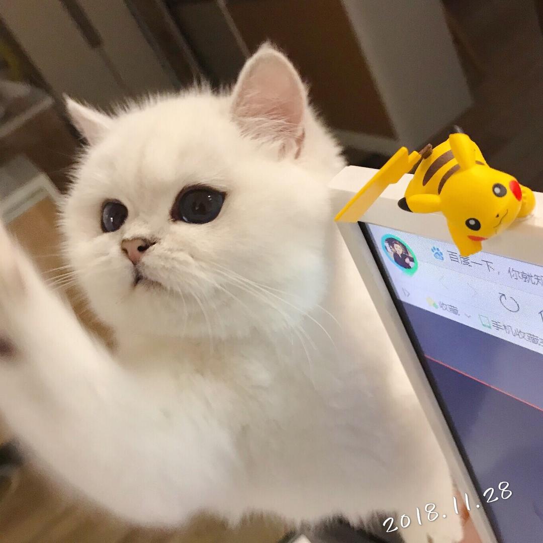 刘涛同学和晚晚