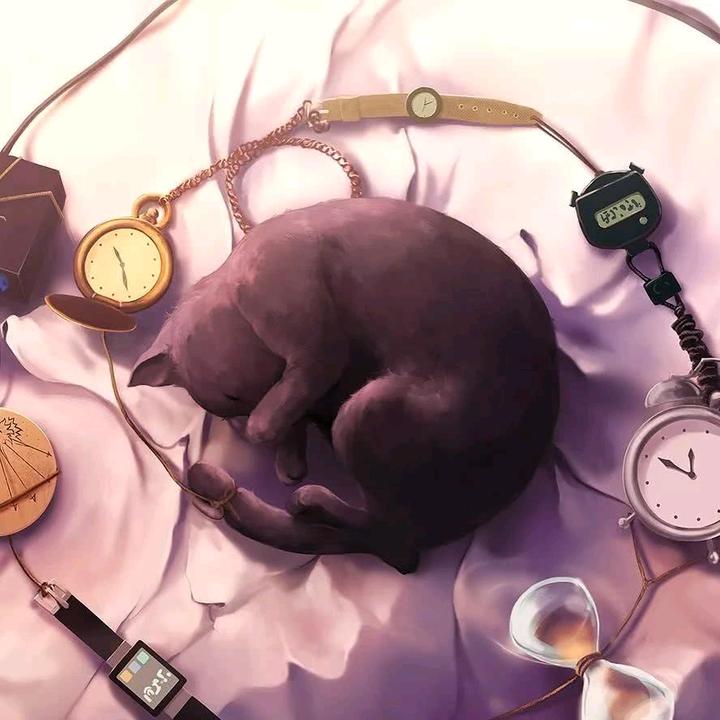 抖音王巨星数据-粉丝数,方式