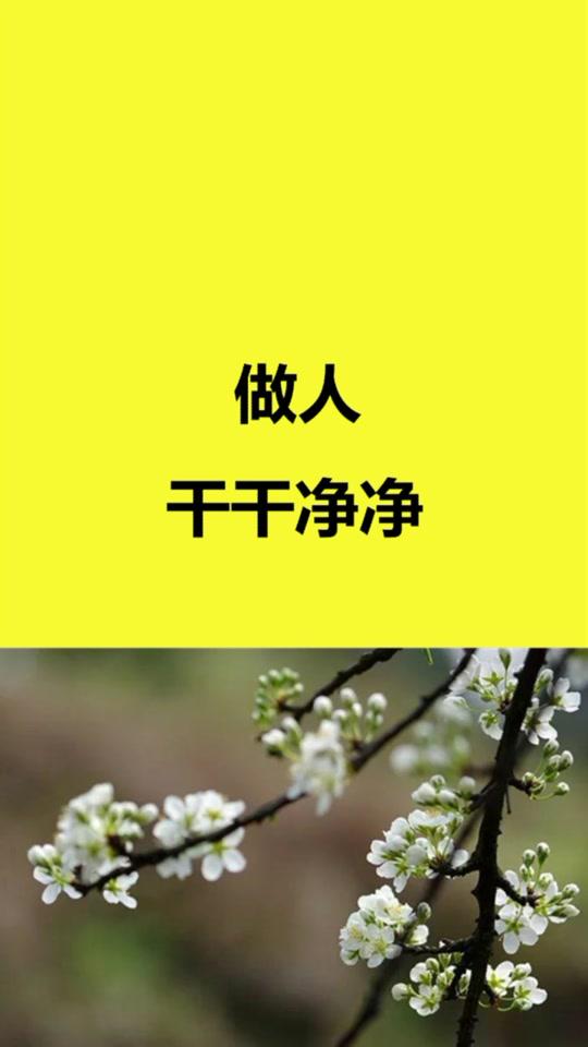 正能量语录短视频数据详情——小葫芦数据