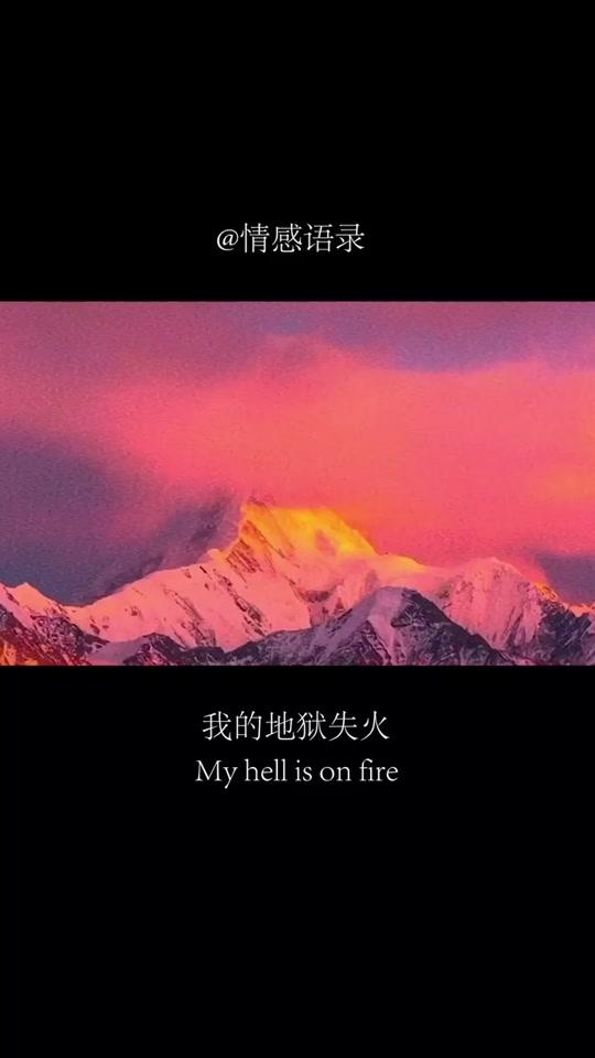 情感语录