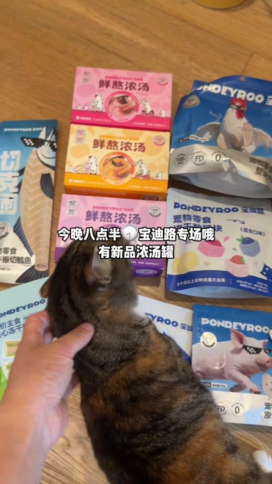 宠物用品赛道文案素材 - 宝迪路终于出新品浓汤罐啦 这次的汤罐很夯哦，今晚还有它博机制太适合囤货啦#养猫新手 #猫罐头推荐 #养猫日记 #养猫好物分享 #宝迪路 - 小伙子软软作品