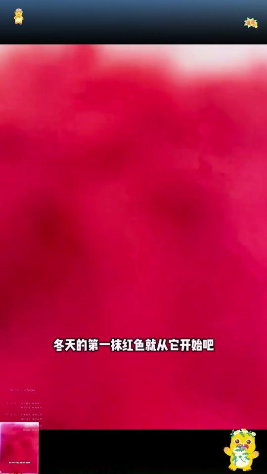 耳饰赛道文案素材 - 超百搭的红色四叶草珠珠耳钉，一款多戴，真的联系姐妹们人手一对，大脸显脸小，脸小显精致，日常逛街闺蜜聚会或者年会随意搭配都好看#耳饰搭配  #红色系  #四叶草耳钉  #新年穿搭  #配饰的重要性 - 妍妍妈妈作品