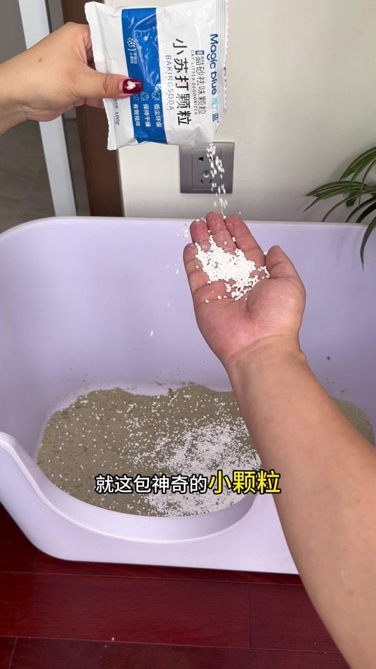 宠物用品赛道文案素材 - 往猫砂里倒点小苏打颗粒，不仅能节省猫砂还能去掉猫砂臭味#萌宠好物 #猫砂 #猫砂除臭 #养猫经验分享 - 可乐和旺仔🐱作品