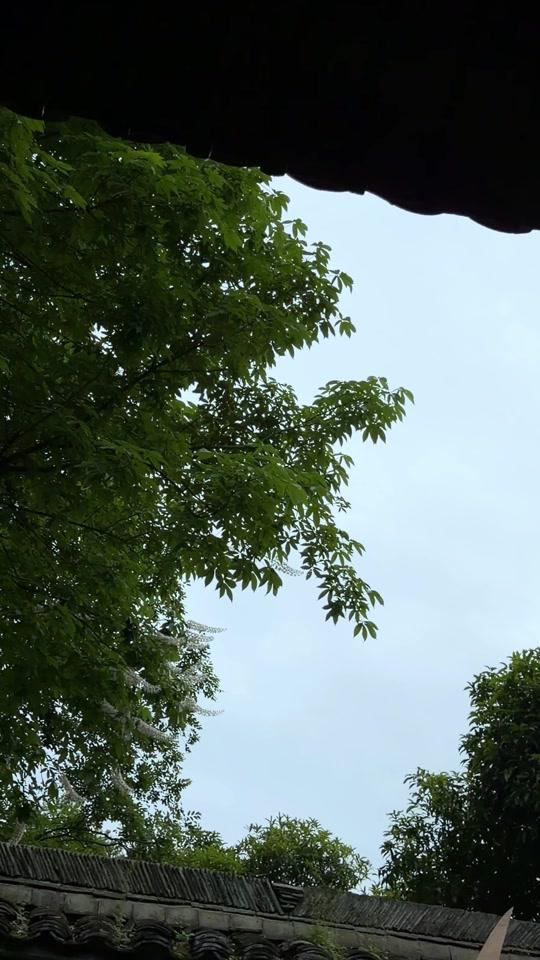 婚庆赛道文案素材 - 策划了一场奢侈品级别的灵芝宴会 修身、养心、固本！为寿仙谷灵芝节策划了一场高奢宴会#百特婚礼 #公关活动策划 #活动策划 #高级宴会 #生活美学 - 百特婚礼-祝赟作品