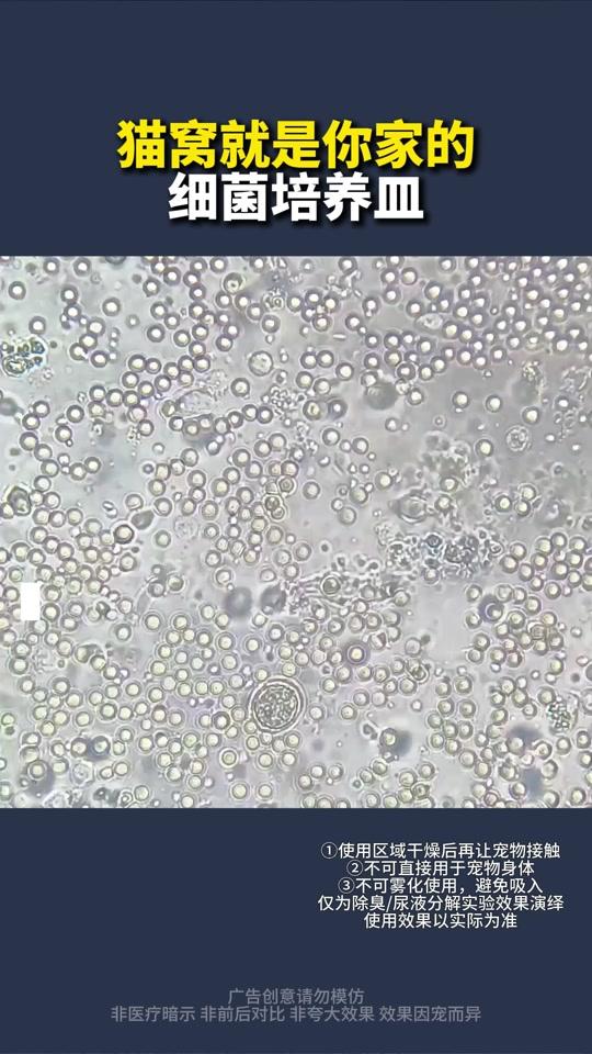 宠物用品赛道文案素材 - 猫窝就是你家的细菌培养皿 #滴露宠物消毒液#养宠经验分享#猫咪#新手养猫#萌宠好物 - 宠物知识科普-孙老师作品