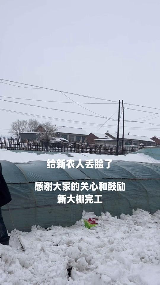 个人成长赛道文案素材 - 现在经历的挫折 都是未来在逆境中重振旗鼓的资本 #新农人 #种地吧 #个人成长 #抖音精选计划 #育苗大棚 - 辛迪伯伯作品