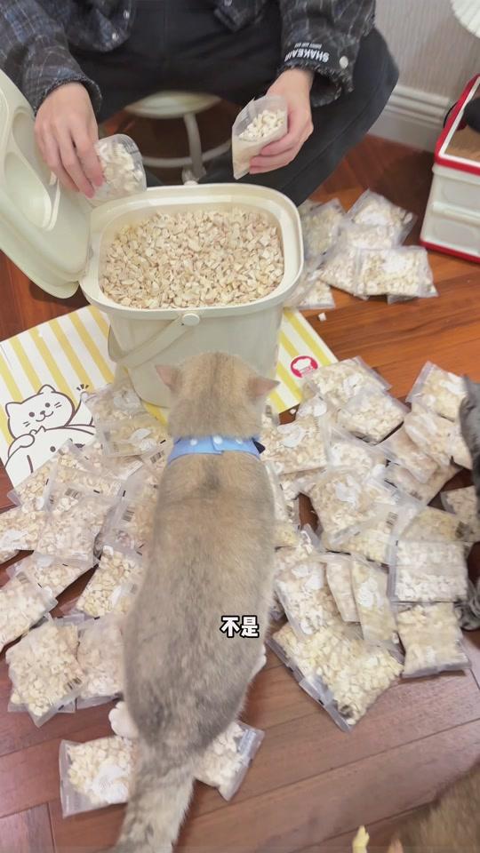 宠物用品赛道文案素材 - 太喜欢这种明目张胆卖边角料的商家了#萌小爵 #冻干 #萌宠好物 #养猫经验分享 #猫零食 - 喵小心作品