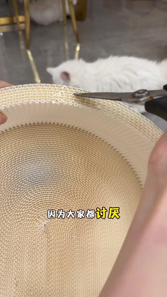 宠物用品赛道文案素材 - 真正为猫咪好的铲屎官才懂，这个白卡纸猫抓板有多好！ 不掉屑、不怕猫咪啃食、干净还不闷热！我家五只猫都抢着睡！！#实用好物 #养猫经验分享 #白卡纸猫抓板 #养猫好物 #猫抓板 - 琉璃是只异瞳猫作品