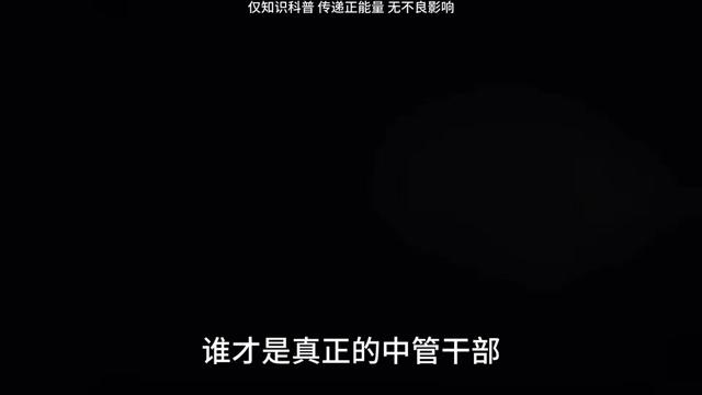 职场赛道文案素材 - 谁才是真正的中管干部? #职场 #职场那些事 #知识分享 #公考 #公务员 - 闲谈讲堂作品