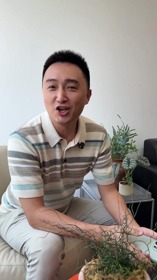 出国签证赛道文案素材 - 国内热到40℃?去澳洲、新西兰过冬吧! #澳大利亚旅行 #新西兰旅行 #避暑旅行 #暑假旅游 #出国旅游 #澳洲签证 #新西兰签证 #旅行攻略 #NiceTrip - 澳洲NiceTrip多多作品