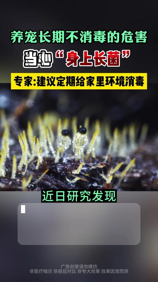 宠物用品赛道文案素材 - 家里养猫的一定要定期消毒杀菌 #宠物消毒液#猫咪#养宠经验分享#咪凹次氯酸消毒液#萌宠好物 - 宠物知识科普-孙老师作品