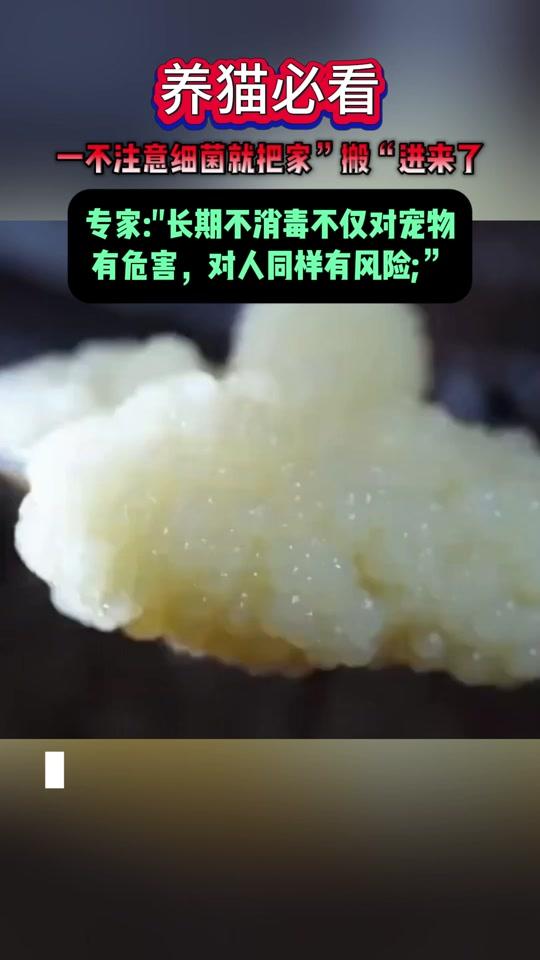 宠物用品赛道文案素材 - 这就是养猫不杀菌导致的!! #宠物消毒液  #猫咪  #养宠经验分享  #咪凹次氯酸消毒液  #萌宠好物 - 爱修猫的老于作品