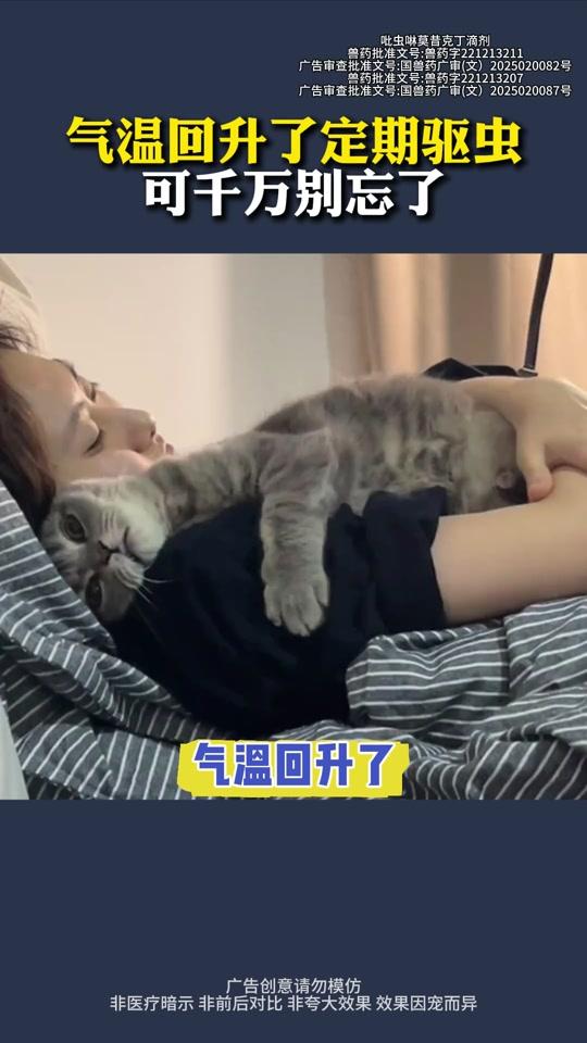 宠物用品赛道文案素材 - 气温回升了定期驱虫可千万别忘了 #狗狗猫咪驱虫#养宠经验分享#宠物驱虫#萌宠好物#新手养猫 - 护猫使者 孙奶奶作品