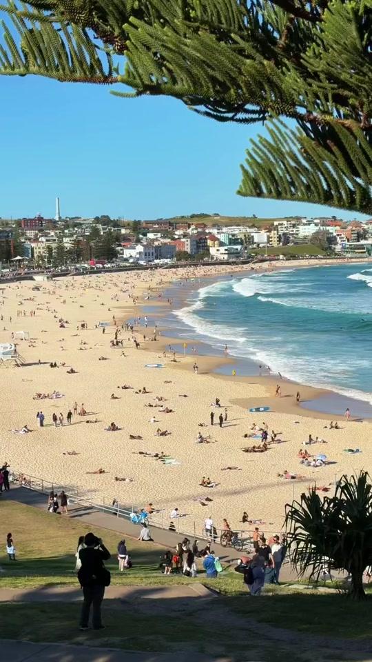 出国签证赛道文案素材 - 南半球的夏天来啦！夏日多巴胺的季节，妥妥的你在冬天穿棉袄，我在沙滩露着腰！澳洲旅游季在召唤你😊#澳大利亚 #新西兰 #澳大利亚签证 #新西兰签证 #河南康辉国际旅行社 - 河南康辉国际旅行社有限责任公司作品