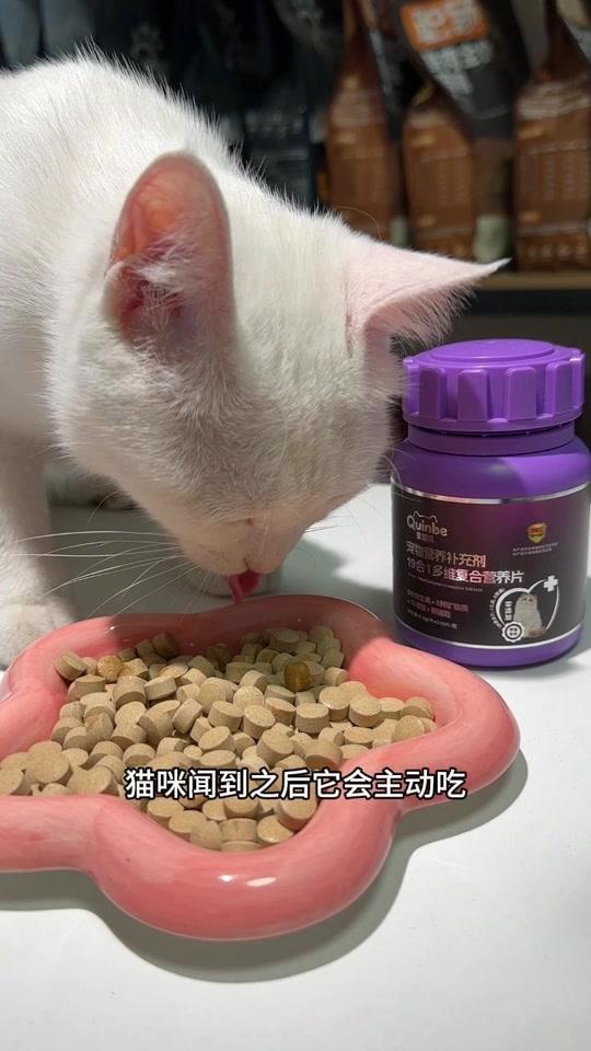 宠物用品赛道文案素材 - 小猫需要补充维生素吗 #新手养猫 #养猫经验分享 #萌宠好物 - 养刘的小猫同学作品