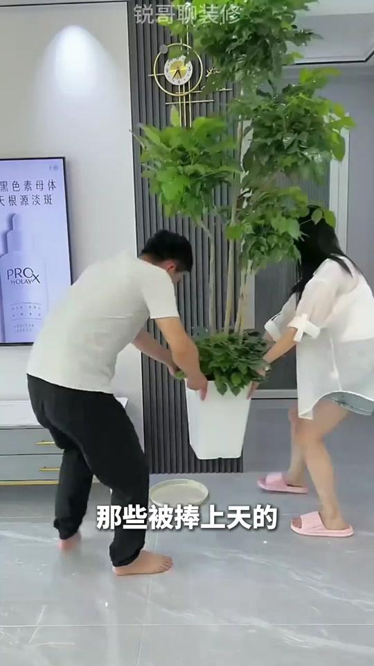 装修赛道文案素材 - 买绿植，千万别踩坑 #绿植 #新房装修 #装修避坑 #装修干货 @抖音创作小助手 @DOU+小助手 @抖音小助手 - 锐哥聊装修作品