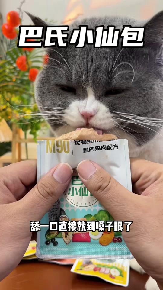 宠物用品赛道文案素材 - 小仙包的适口性真的绝了，一口就舔到嗓子眼了 #养猫好物分享 #食物链小仙包 - 白粑粑作品