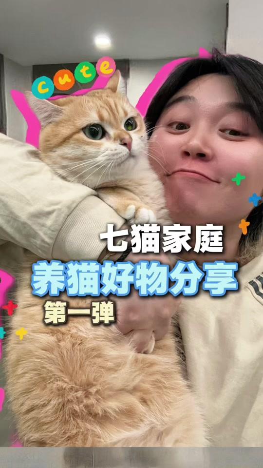 宠物用品赛道文案素材 - 七猫家庭养猫好物分享第一弹#养猫日常 #养猫好物 #新手养猫 #多猫家庭 - 养猫的阿力作品